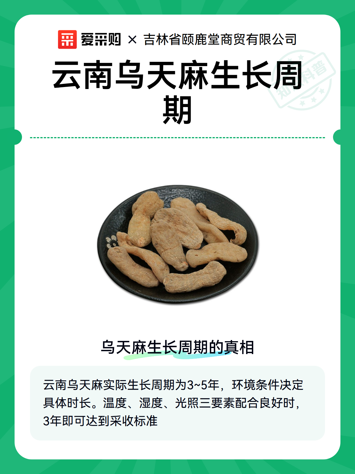 云南乌天麻生长周期（图2）