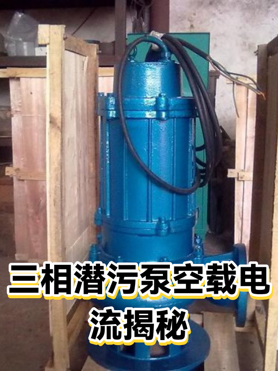 三相潜污泵空载电流揭秘（图1）