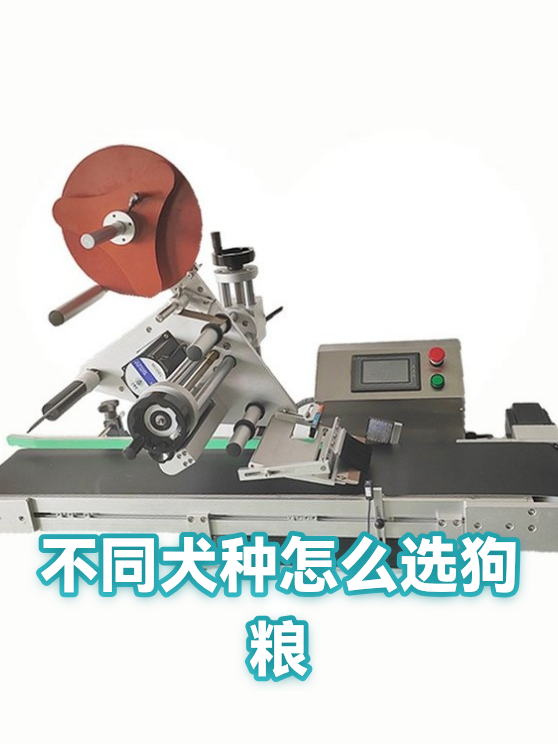 不同犬种怎么选狗粮（图1）