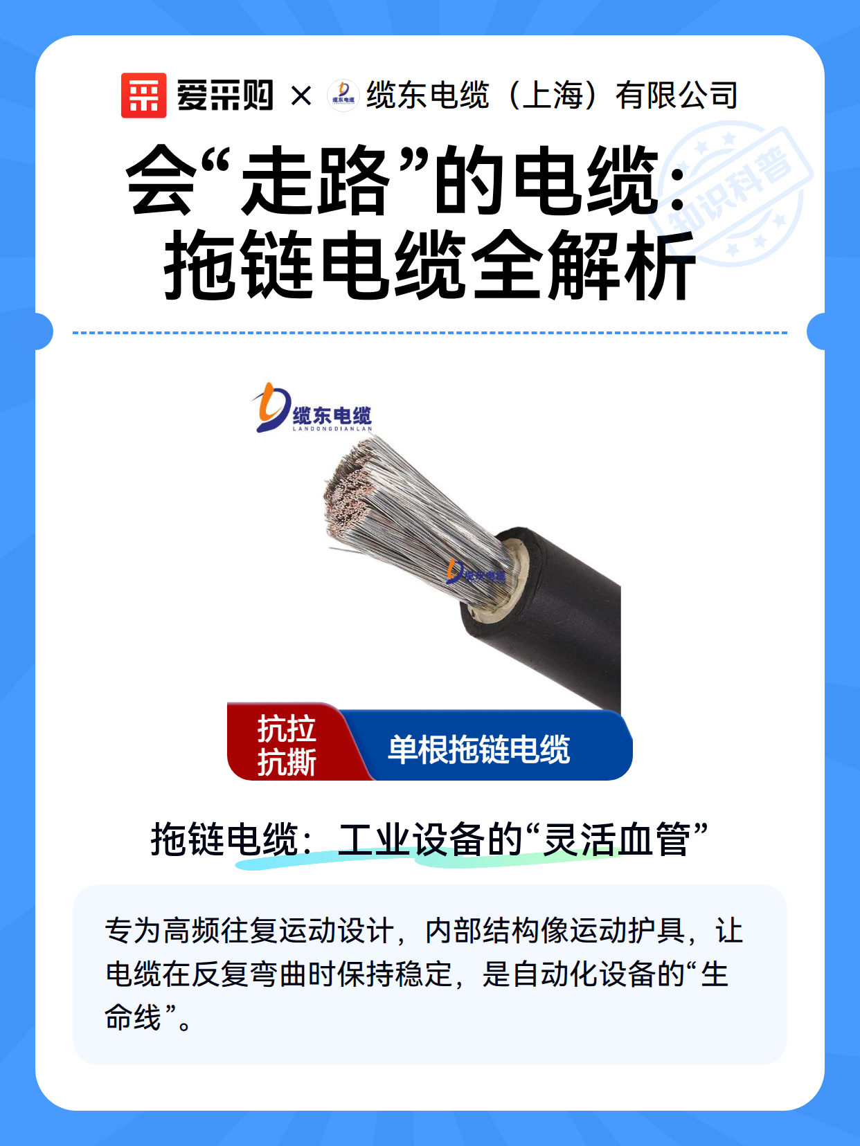 会“走路”的电缆：拖链电缆全解析（图2）