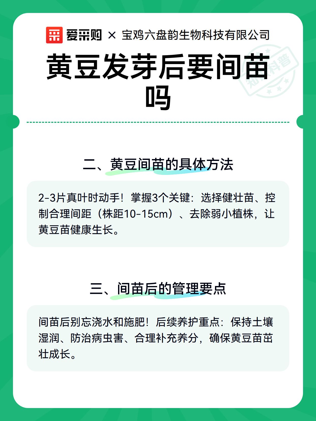 黄豆发芽后要间苗吗（图3）