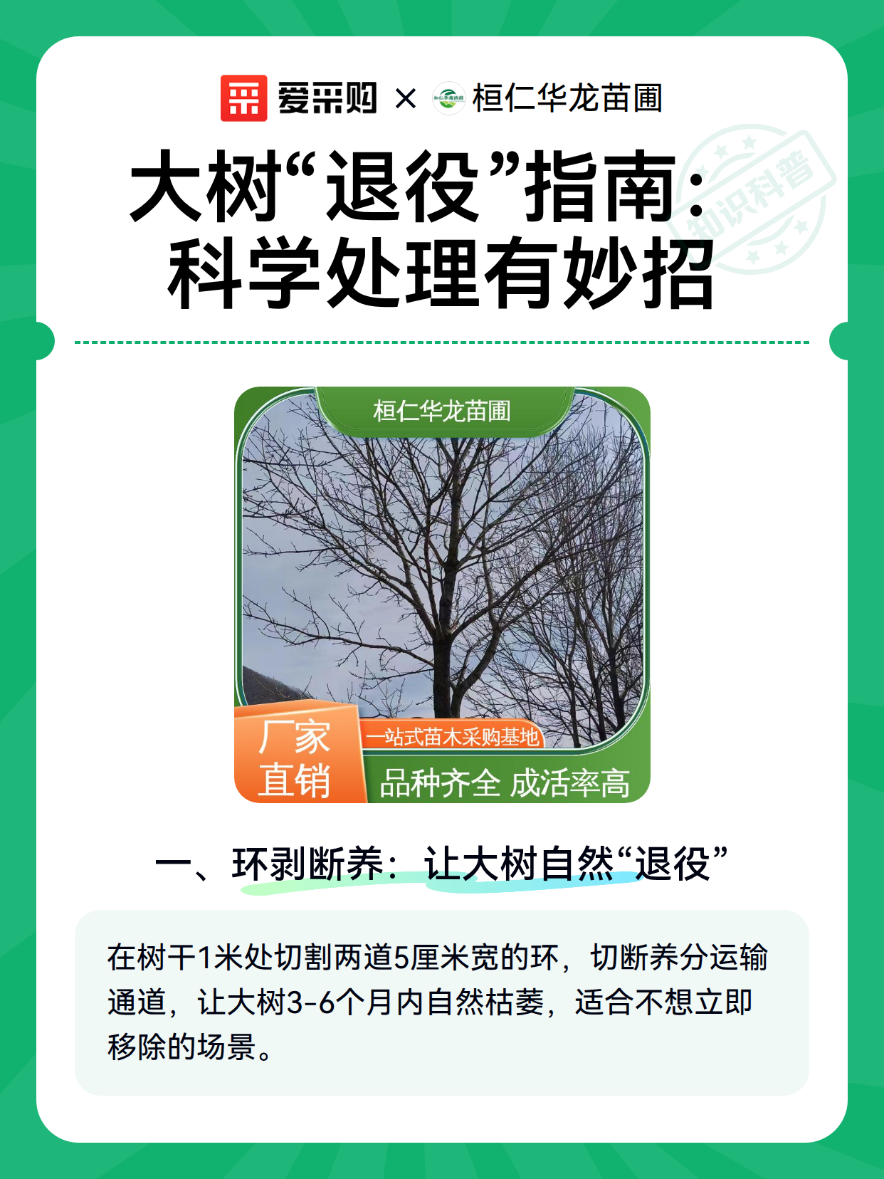 大树“退役”指南：科学处理有妙招（图1）