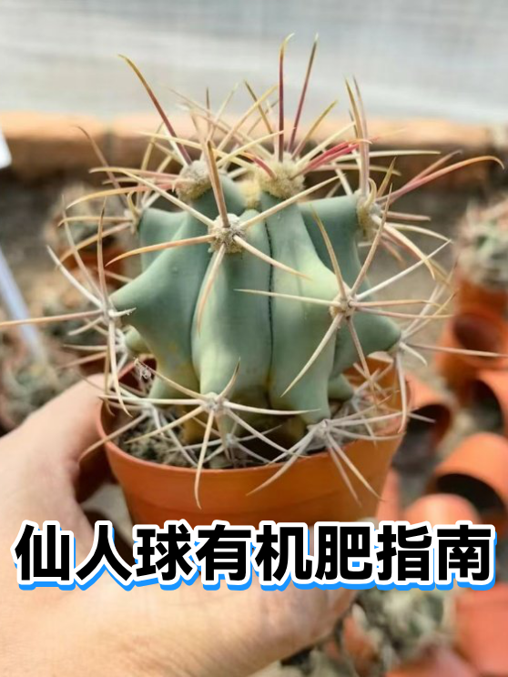 image-1