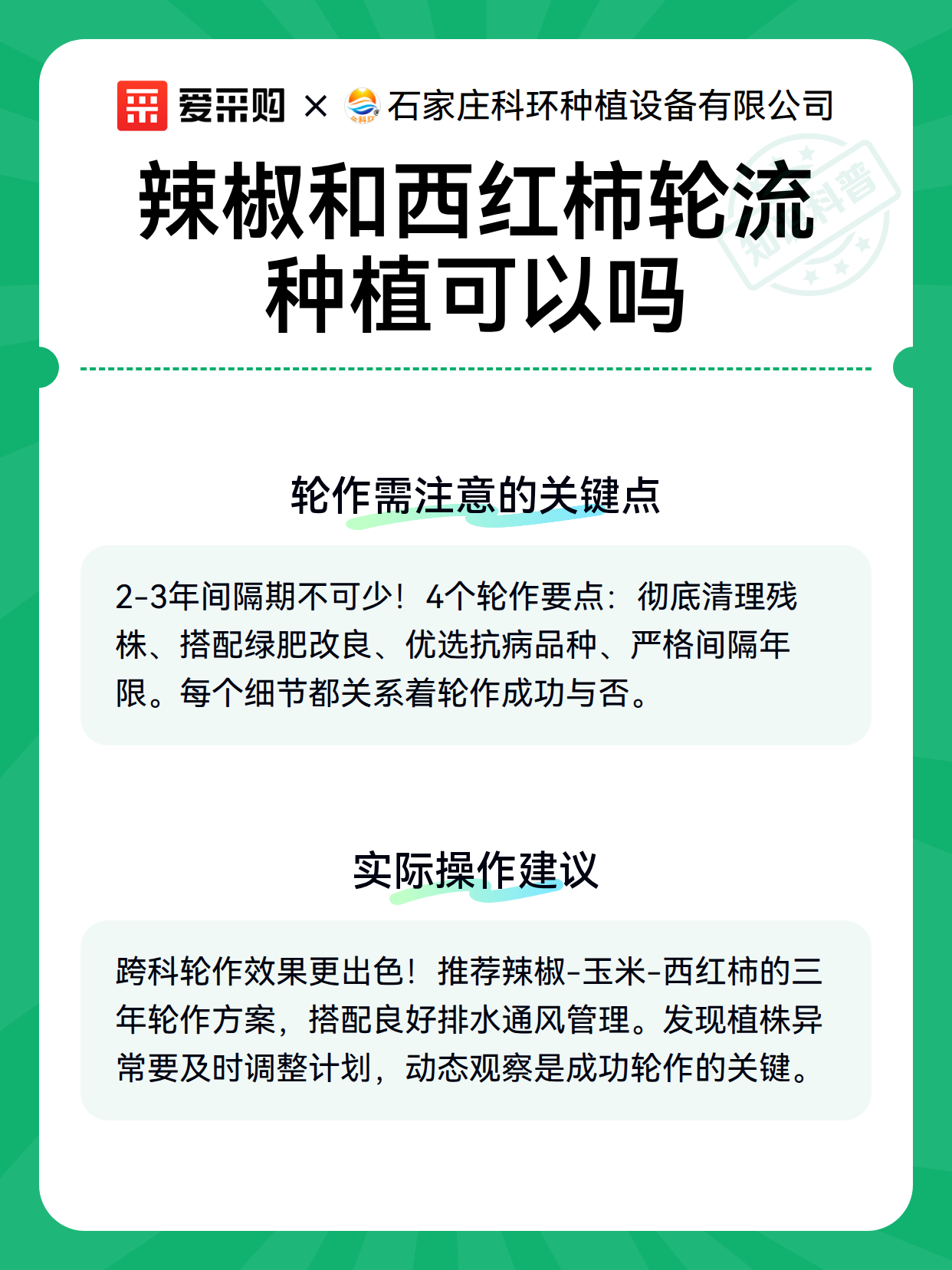 辣椒和西红柿轮流种植可以吗（图3）
