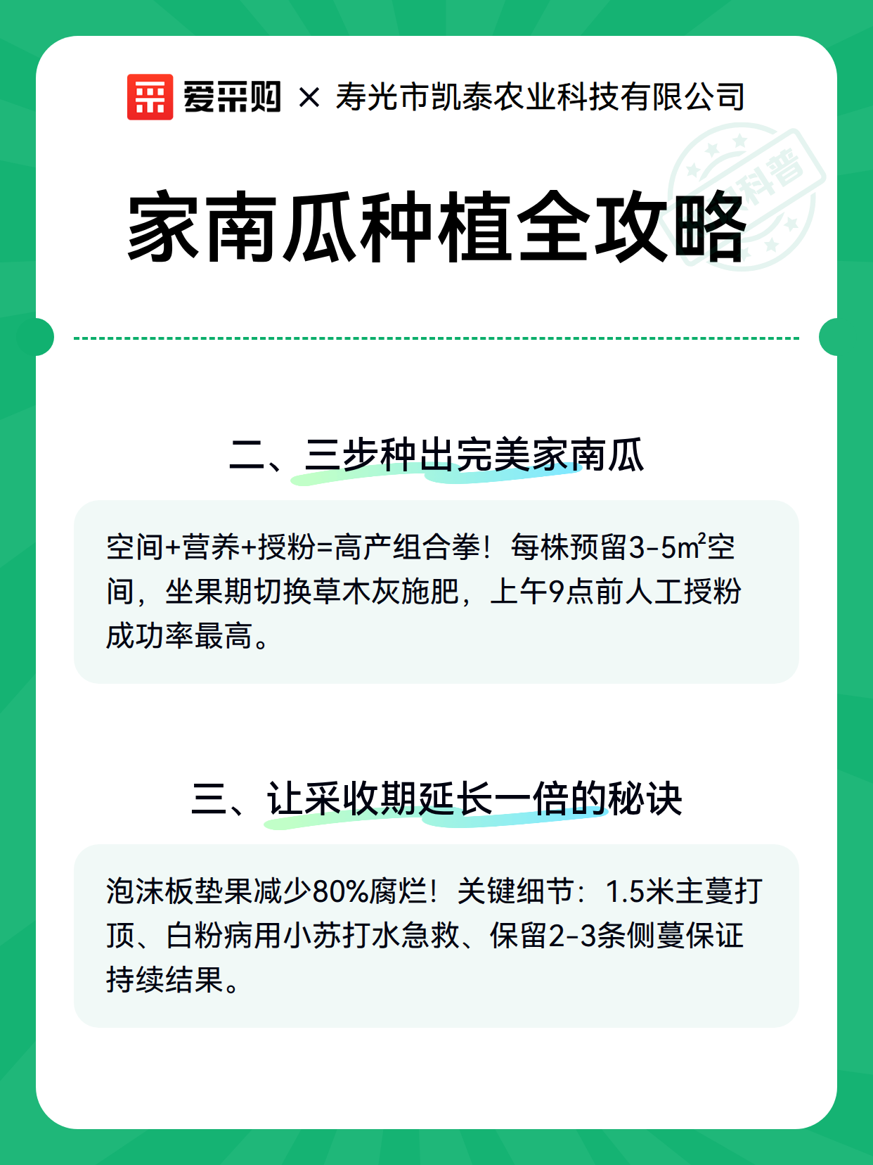 家南瓜种植全攻略（图3）