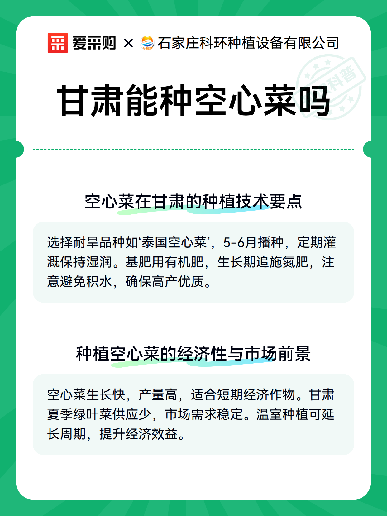甘肃能种空心菜吗（图3）