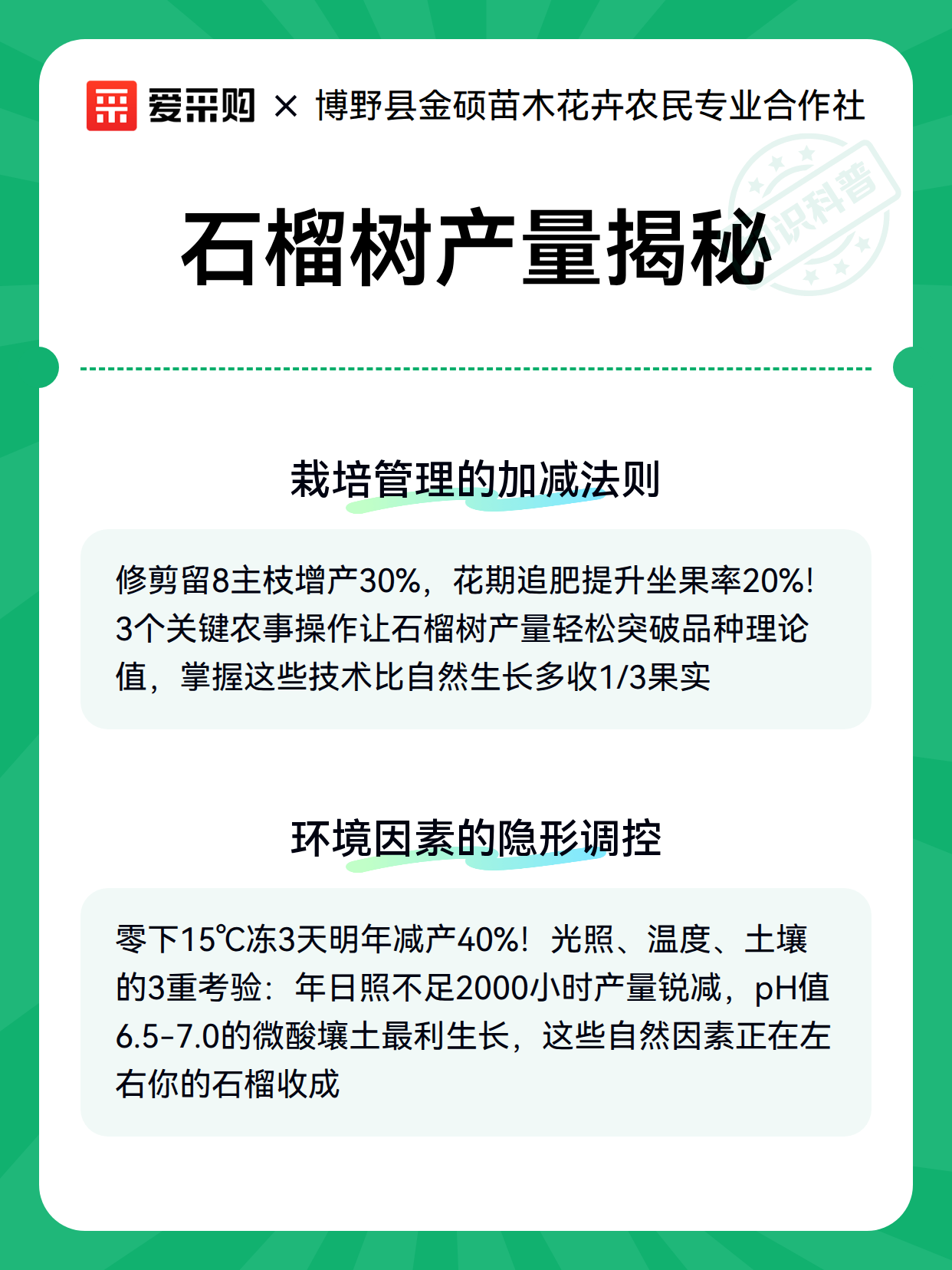石榴树产量揭秘（图3）