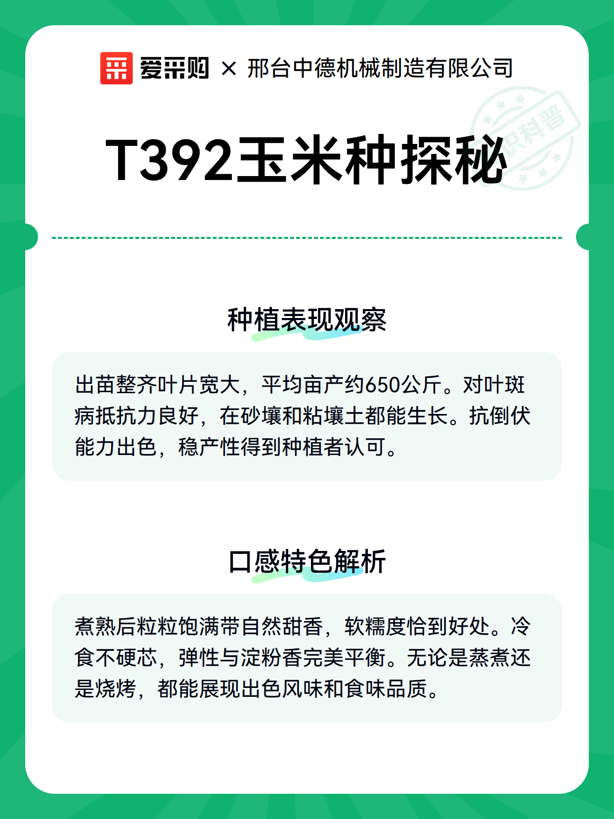 T392玉米种探秘（图3）