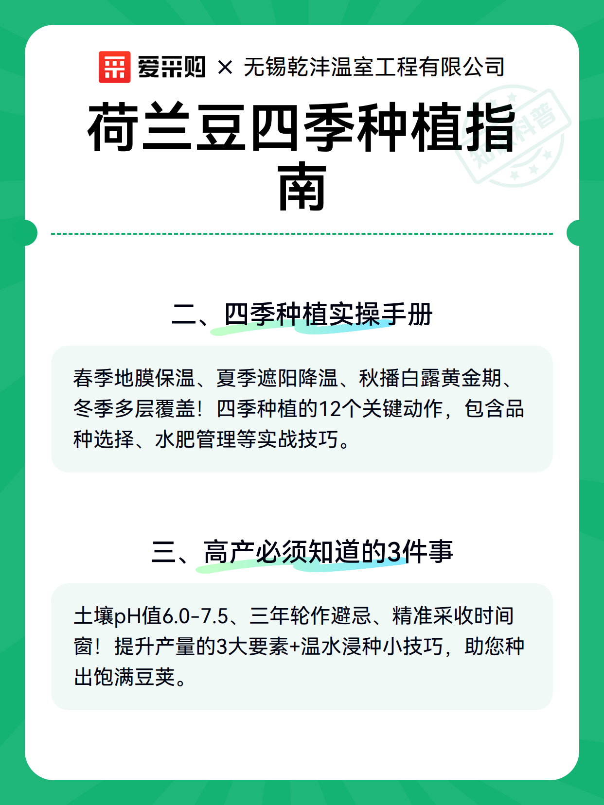 荷兰豆四季种植指南（图2）