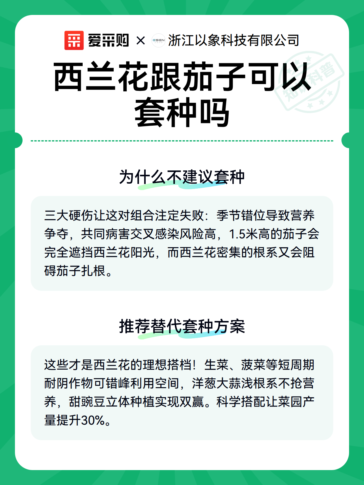 西兰花跟茄子可以套种吗（图3）