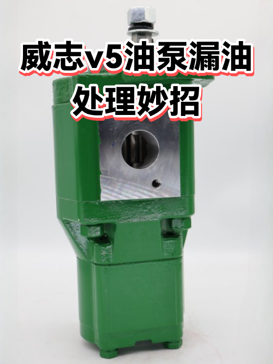 威志v5油泵漏油处理妙招（图1）