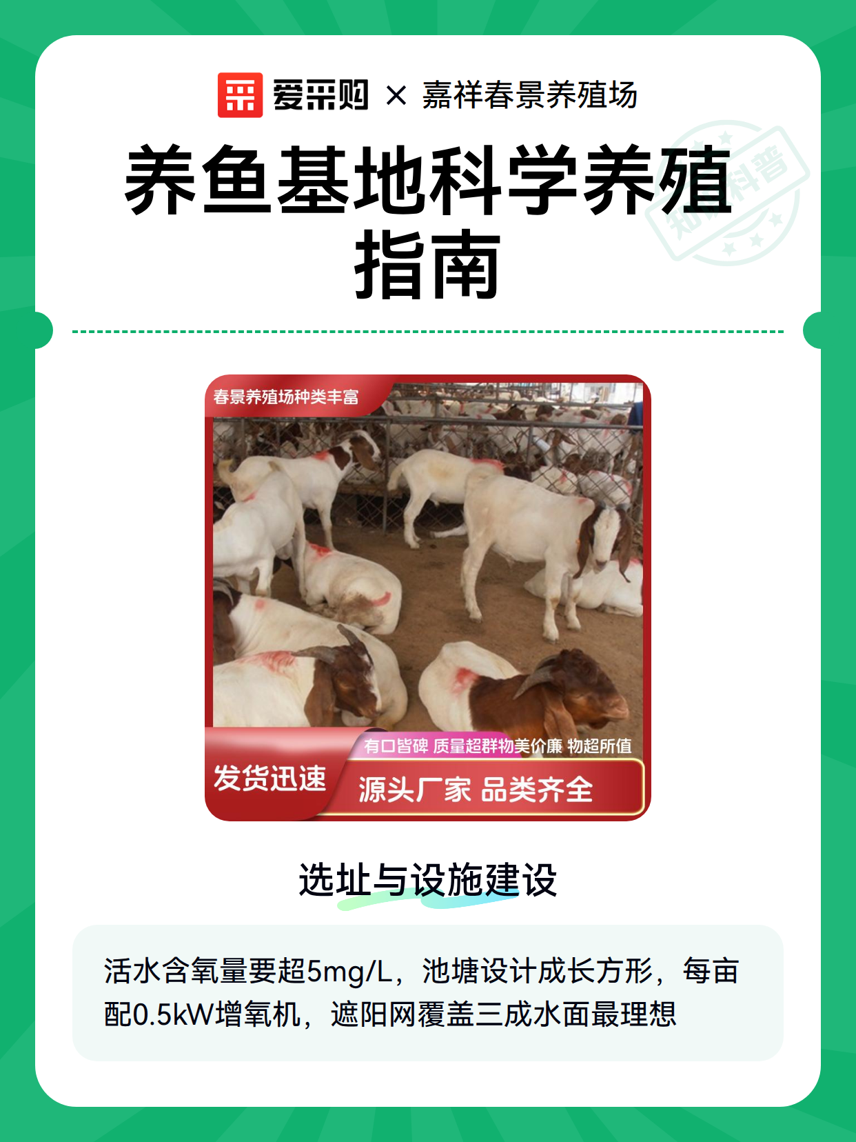 养鱼基地科学养殖指南（图2）