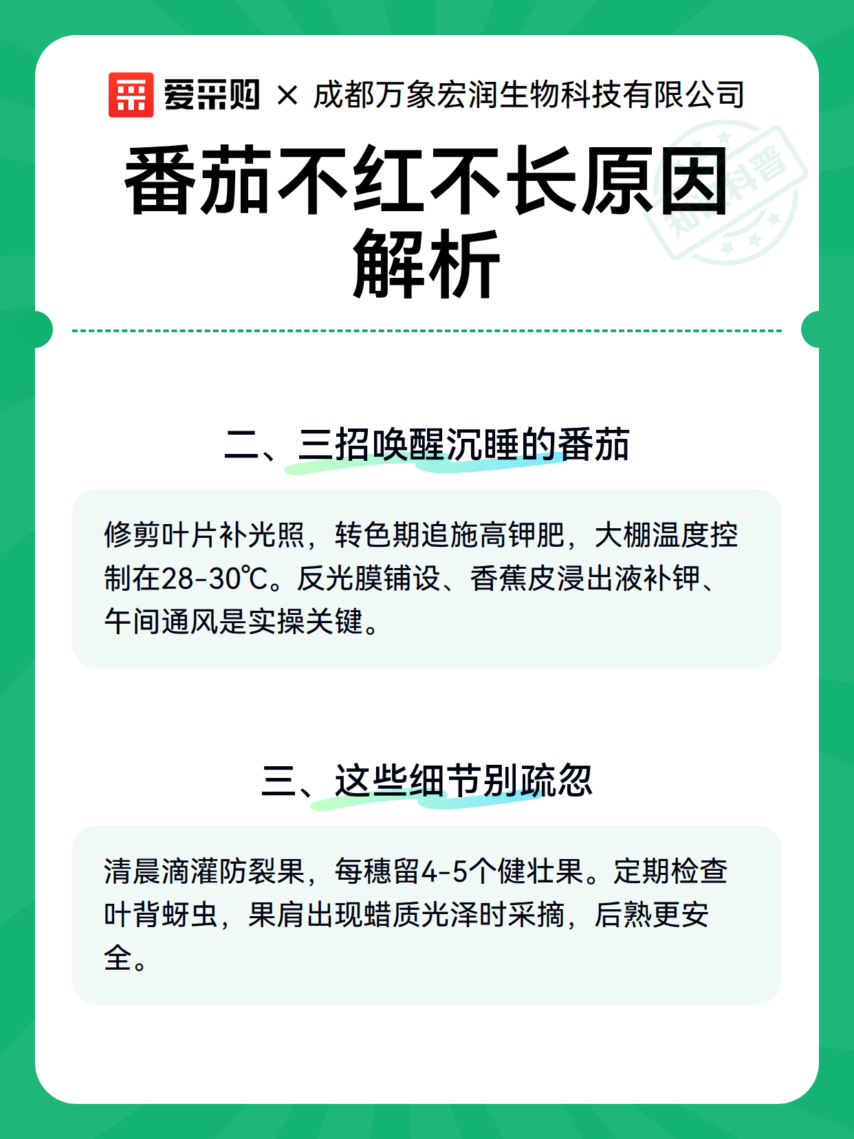 番茄不红不长原因解析（图3）