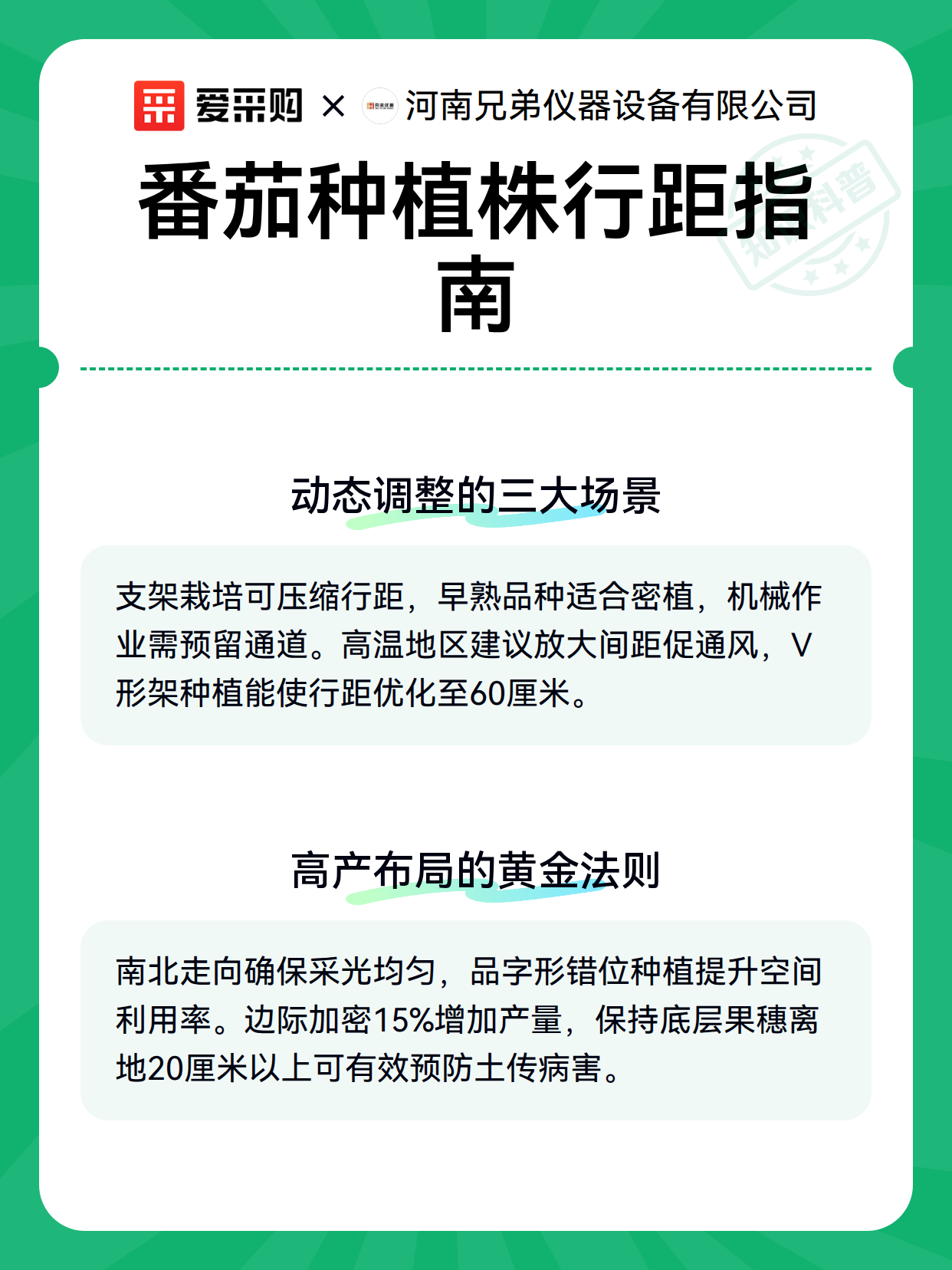 番茄种植株行距指南（图3）