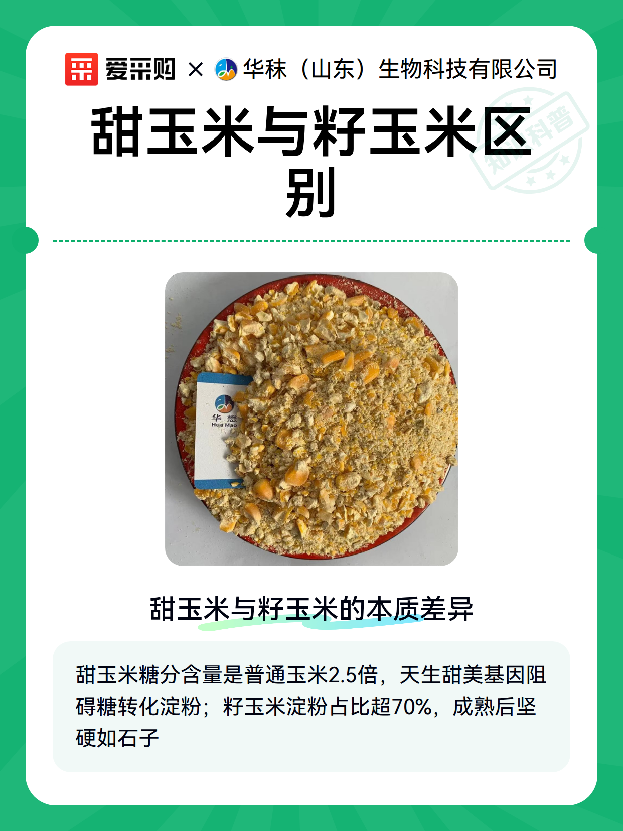甜玉米与籽玉米区别（图2）