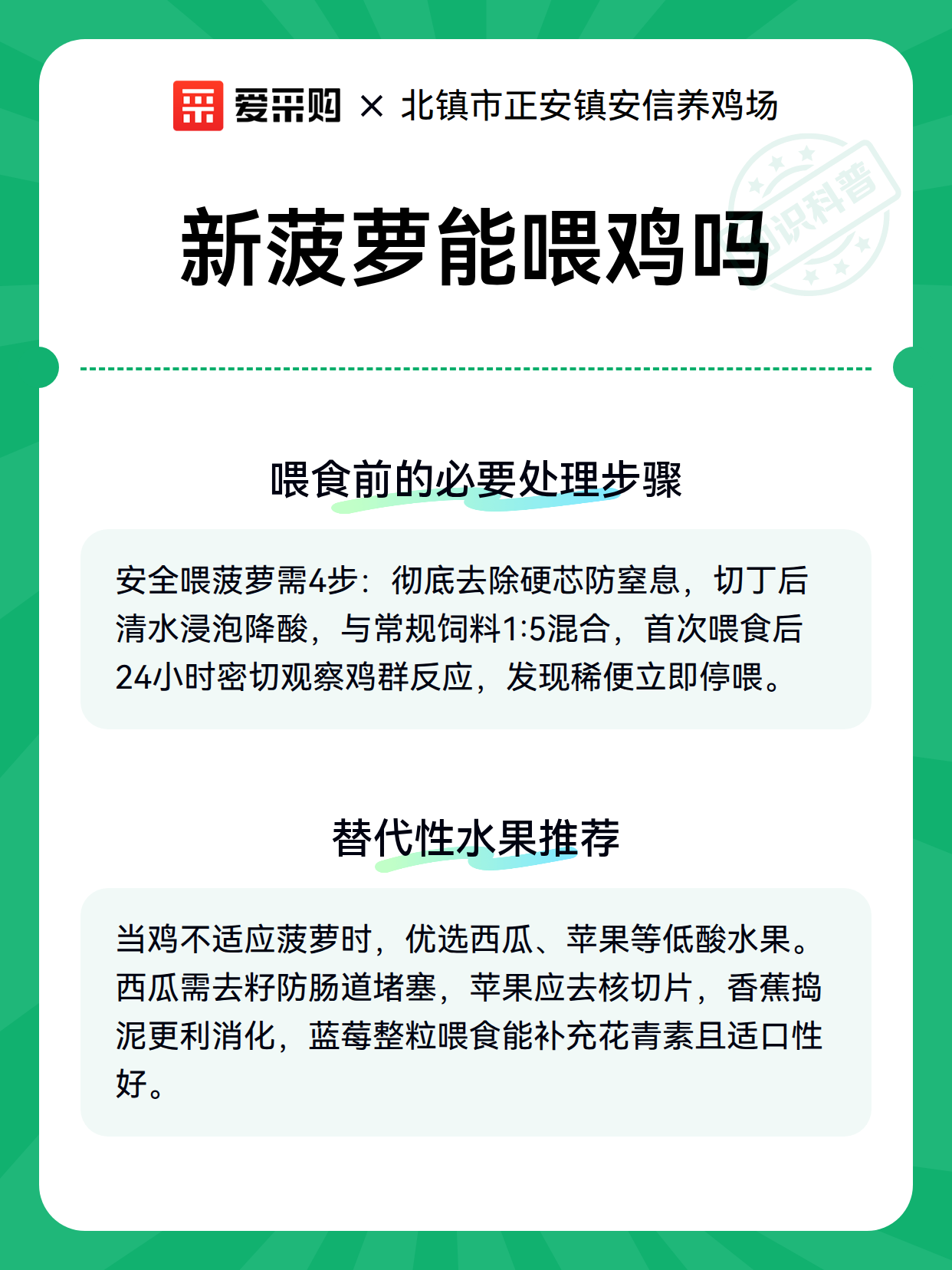 新菠萝能喂鸡吗（图3）