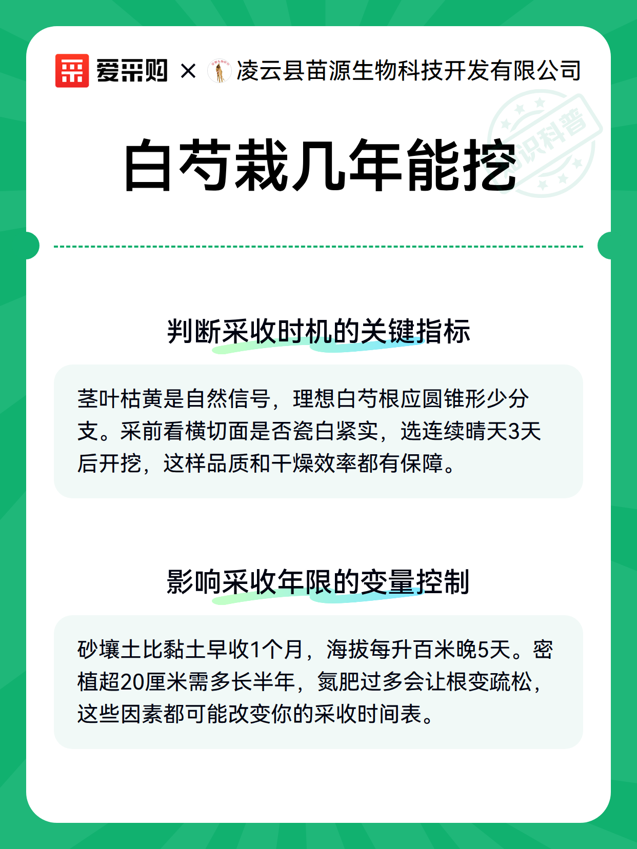 白芍栽几年能挖（图3）