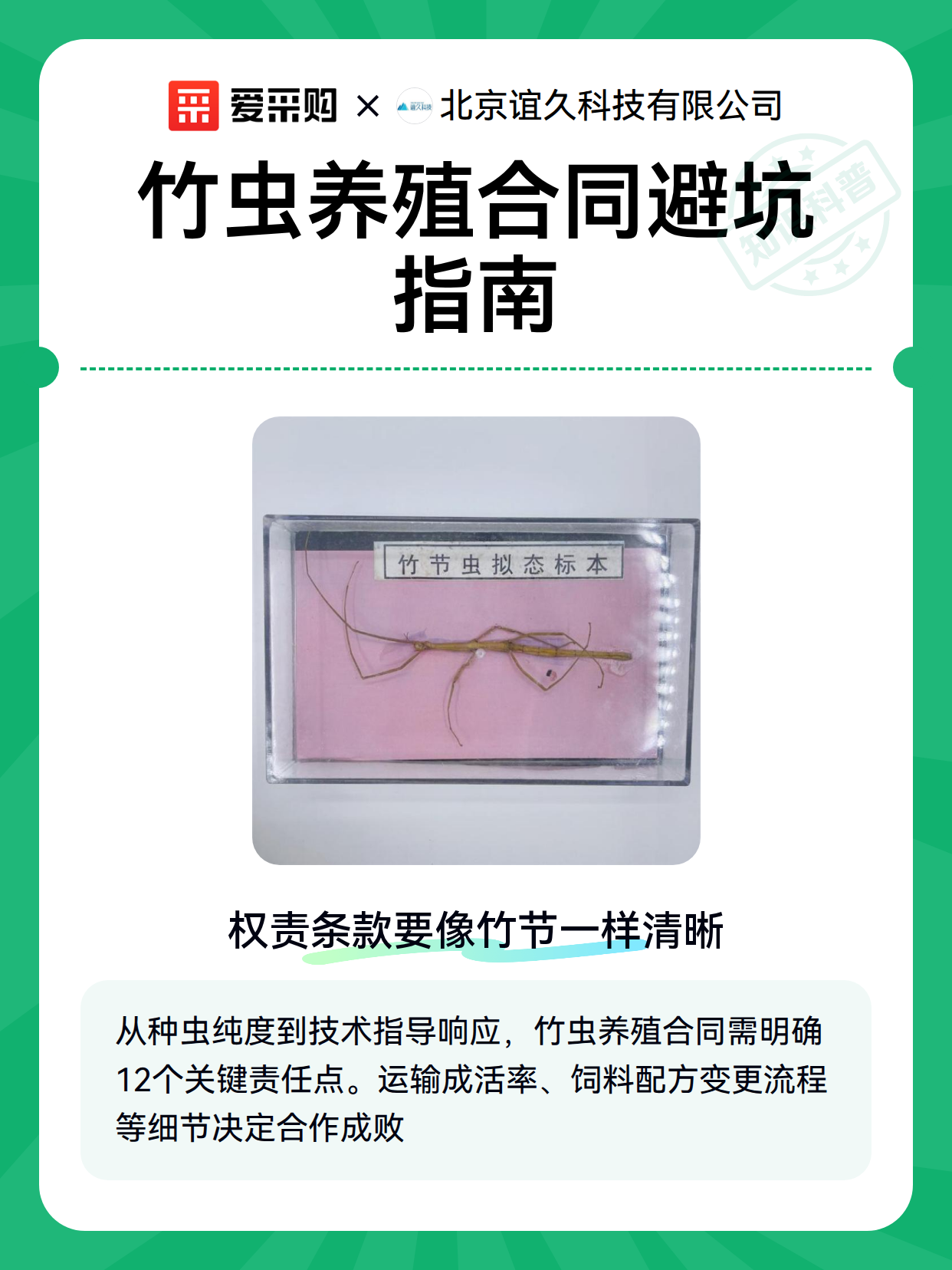 竹虫养殖合同避坑指南（图1）