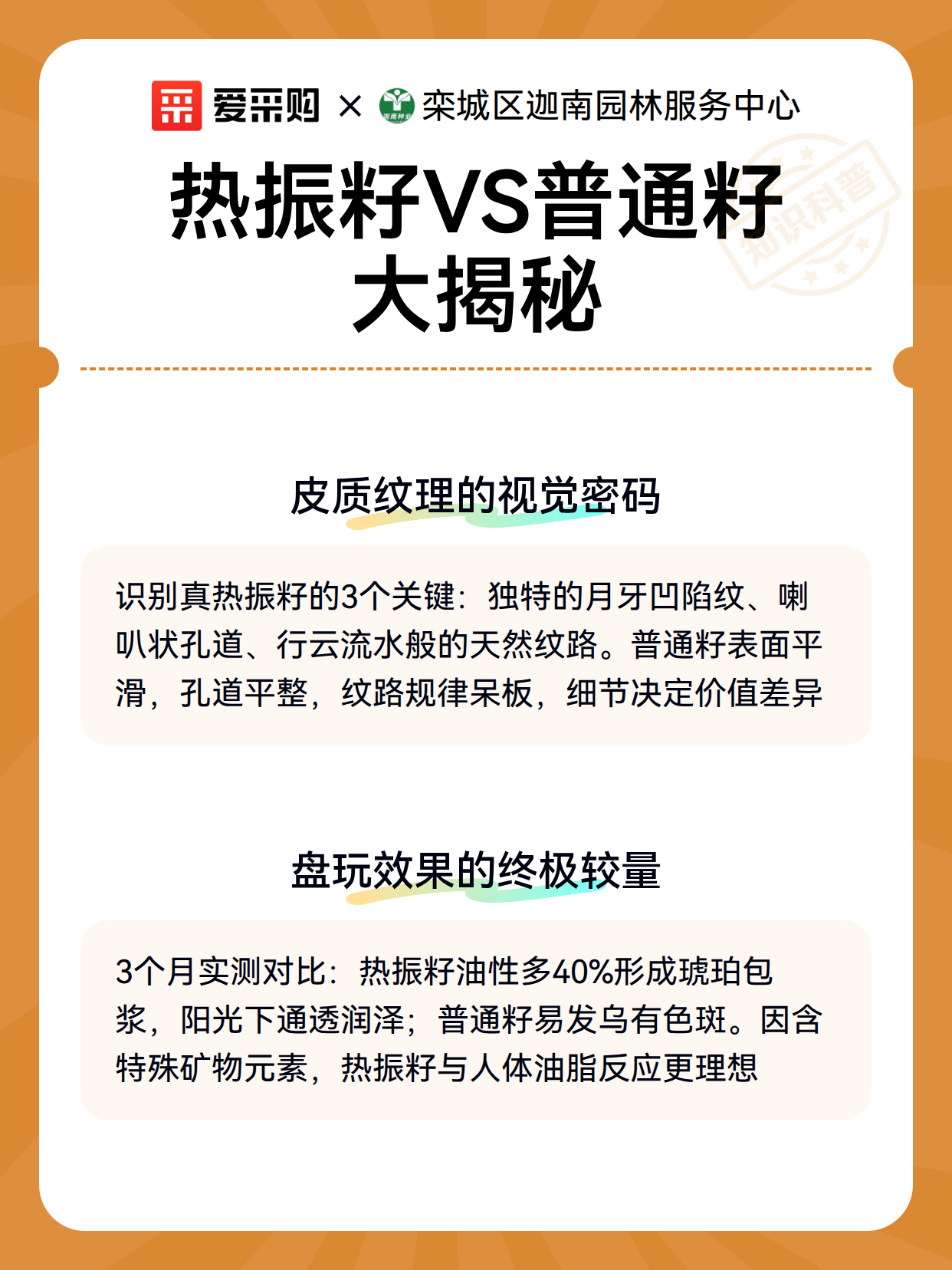 热振籽VS普通籽大揭秘（图3）