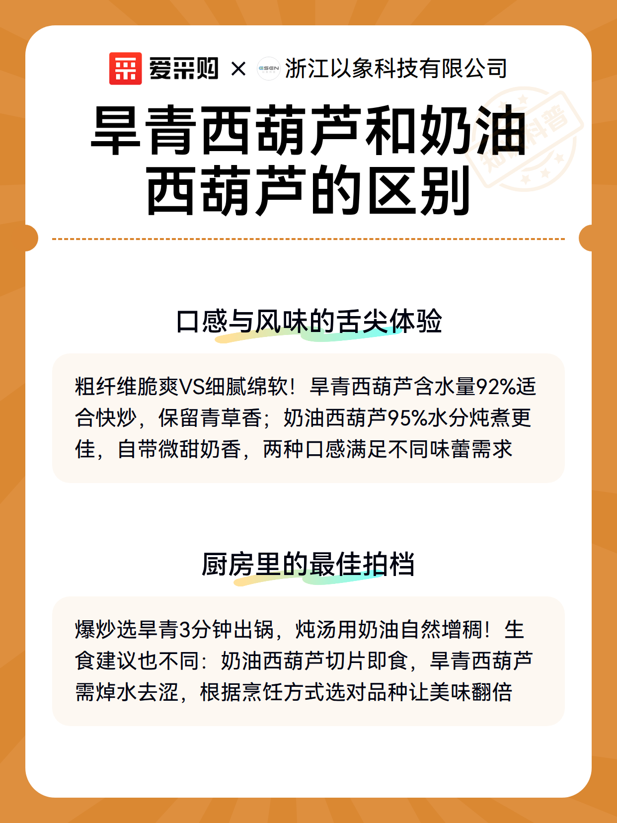 旱青西葫芦和奶油西葫芦的区别（图3）