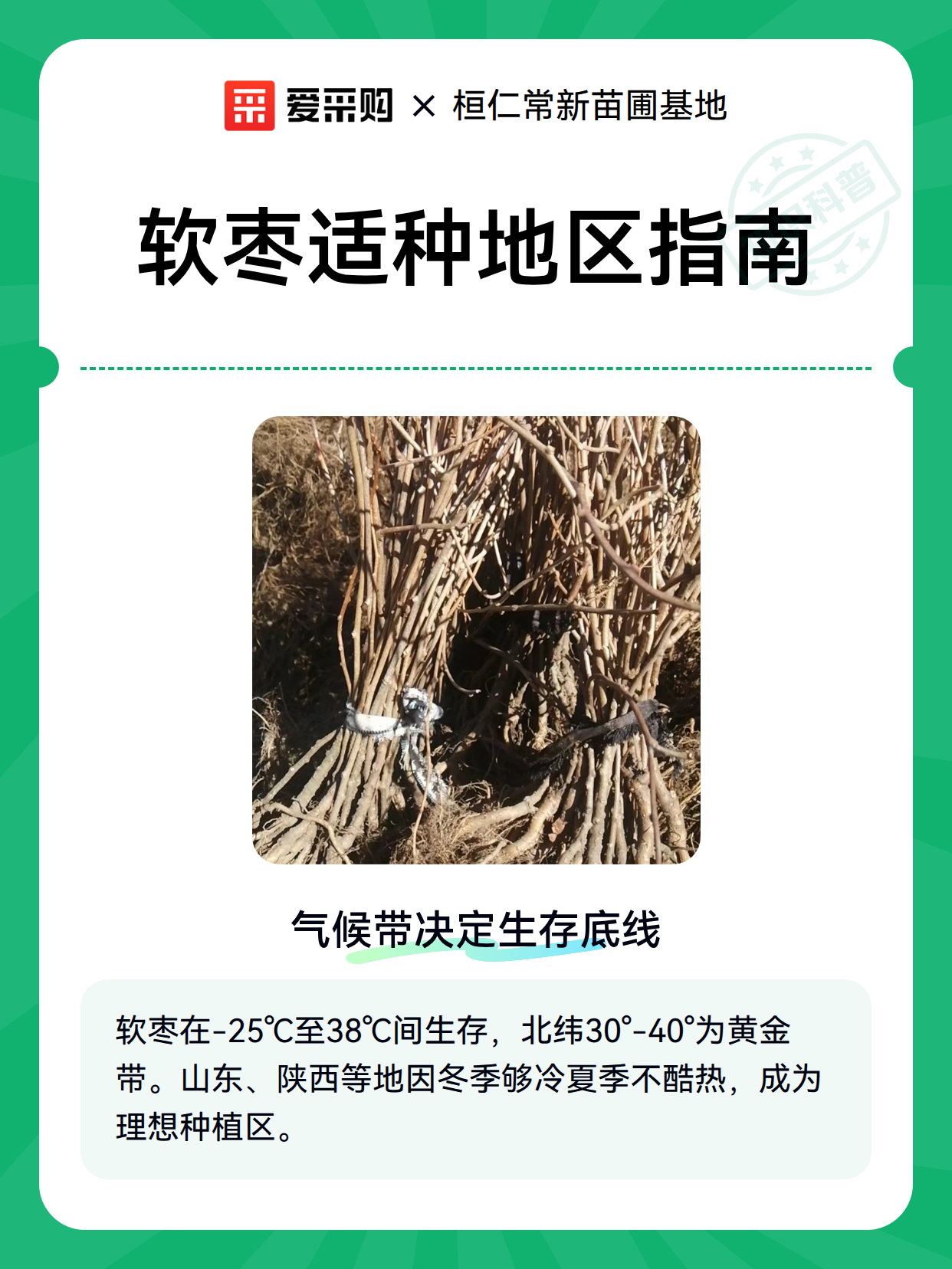 软枣适种地区指南（图2）