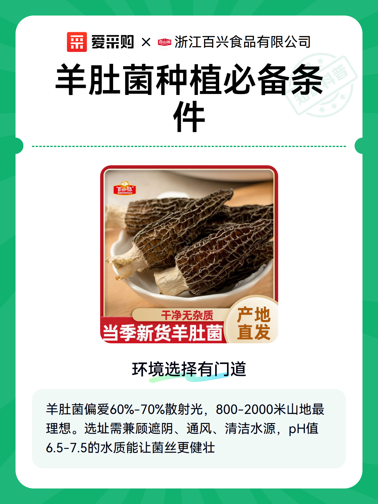 羊肚菇栽培设施的维护与使用周期管理（图2）