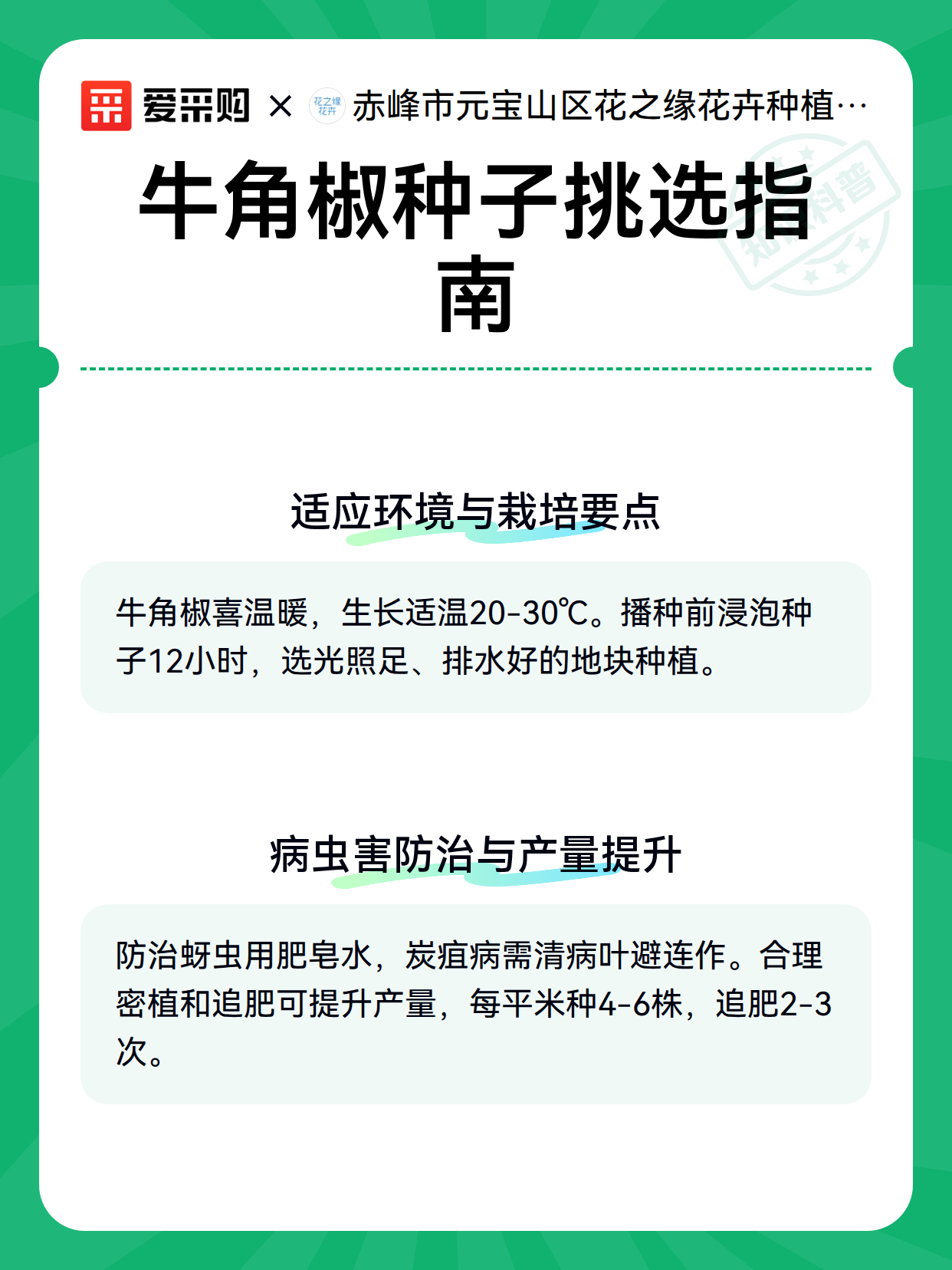 牛角椒种子挑选指南（图3）