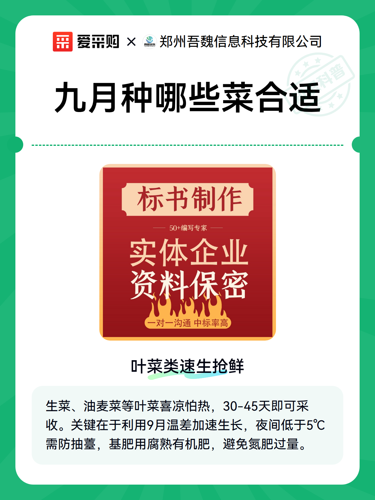 九月种哪些菜合适（图2）
