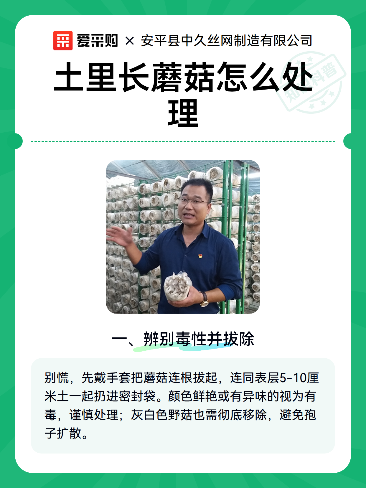 土里长蘑菇怎么处理（图1）