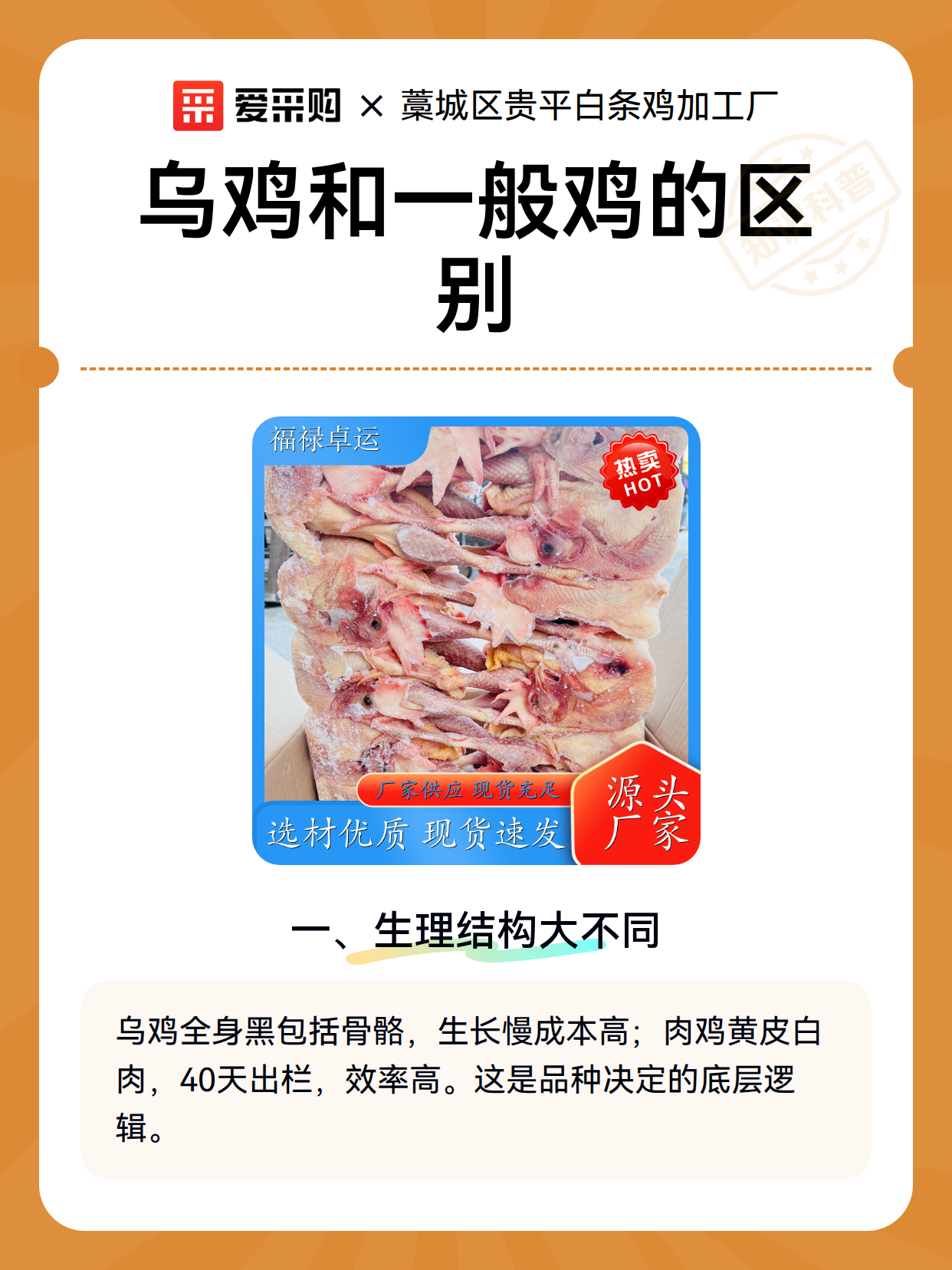 乌鸡和一般鸡的区别（图1）