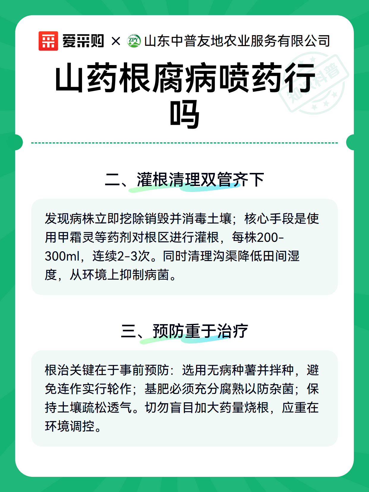 山药根腐病喷药行吗（图2）