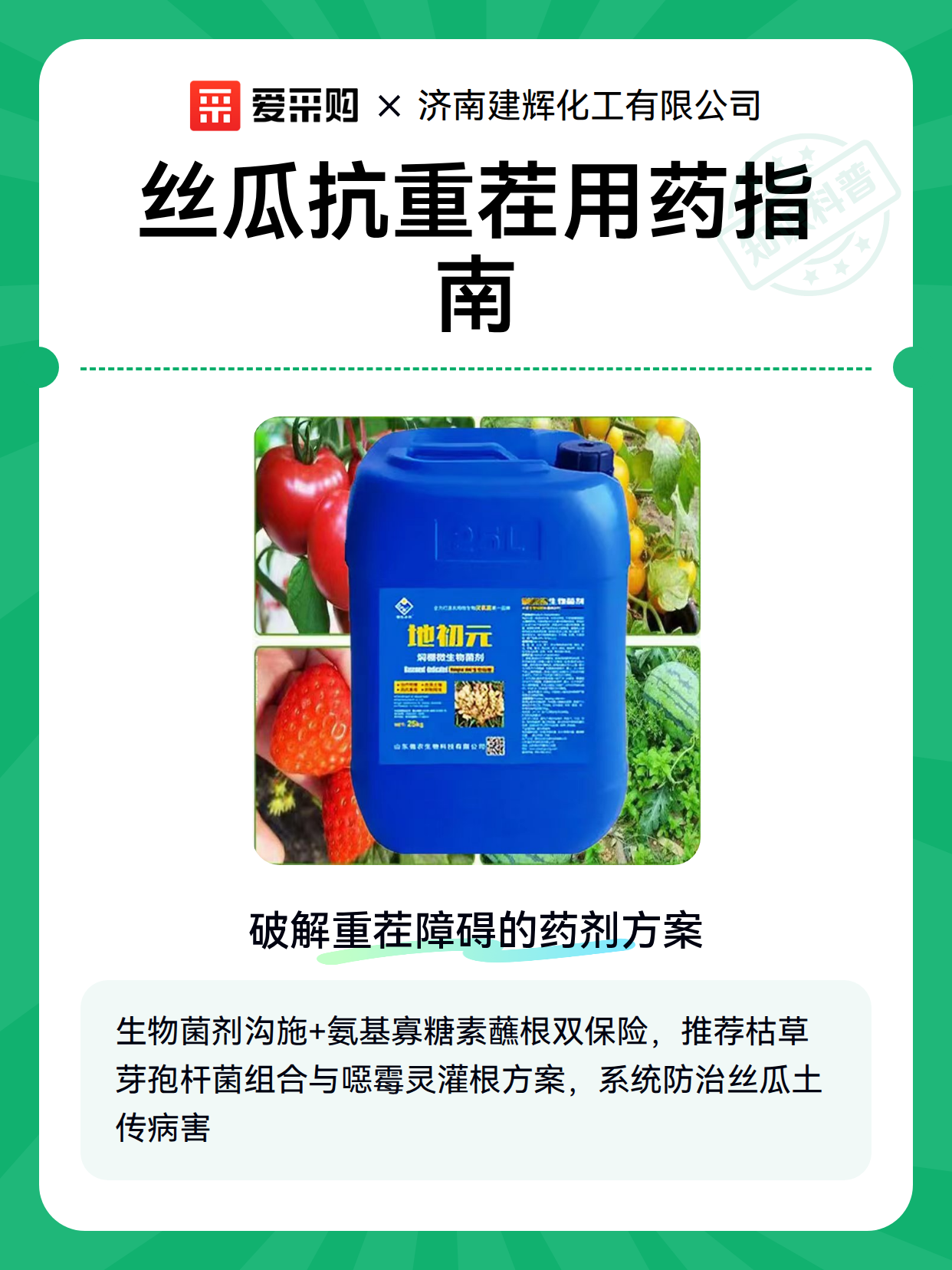 丝瓜抗重茬用药指南（图1）