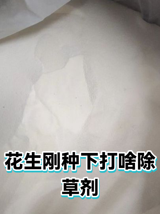 花生刚种下打啥除草剂（图1）