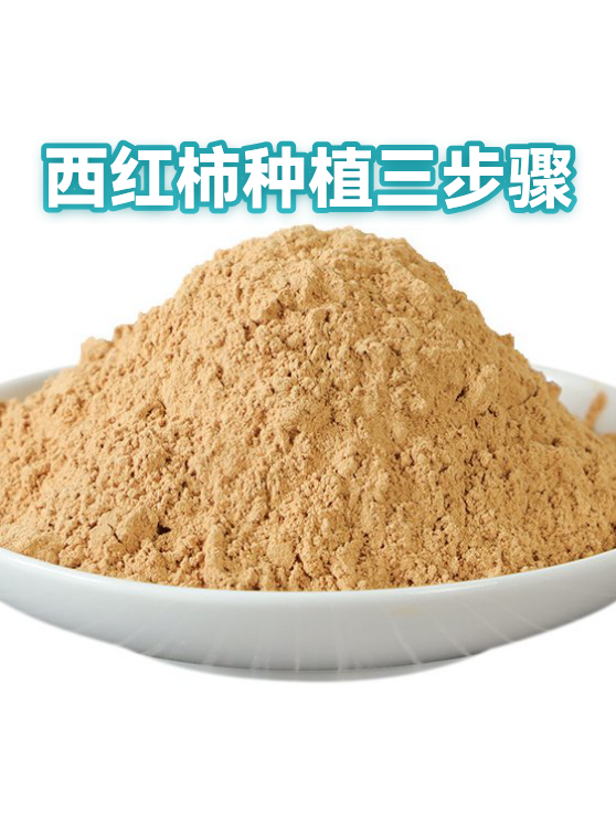 西红柿种植三步骤（图1）