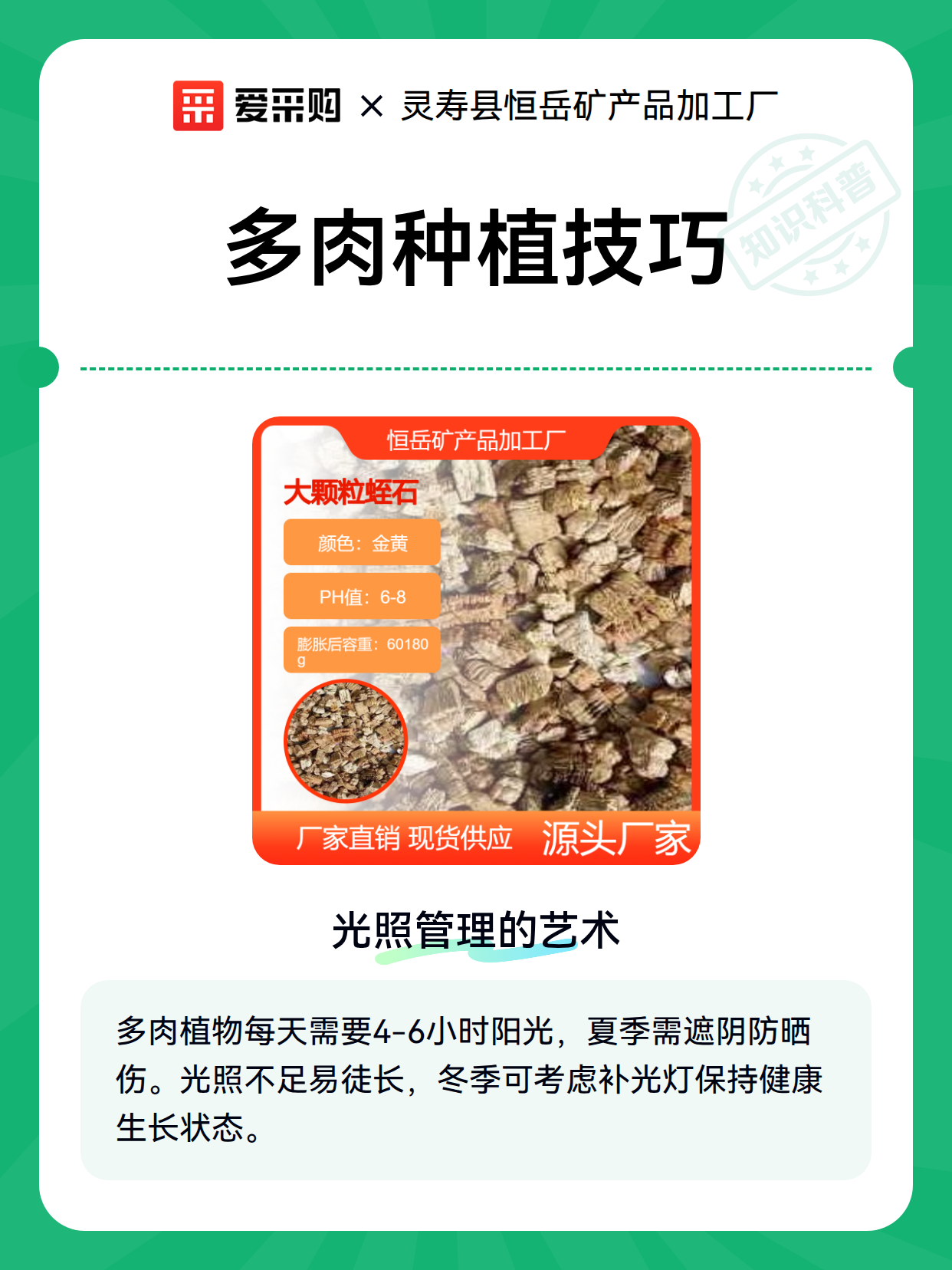多肉种植技巧（图2）