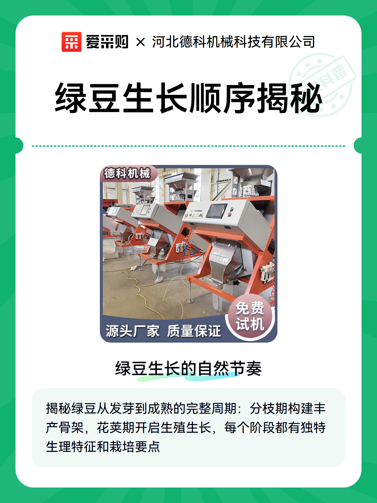 绿豆生长顺序揭秘（图1）