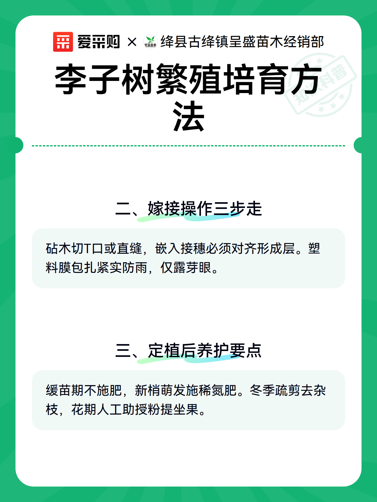 李子树繁殖培育方法（图3）