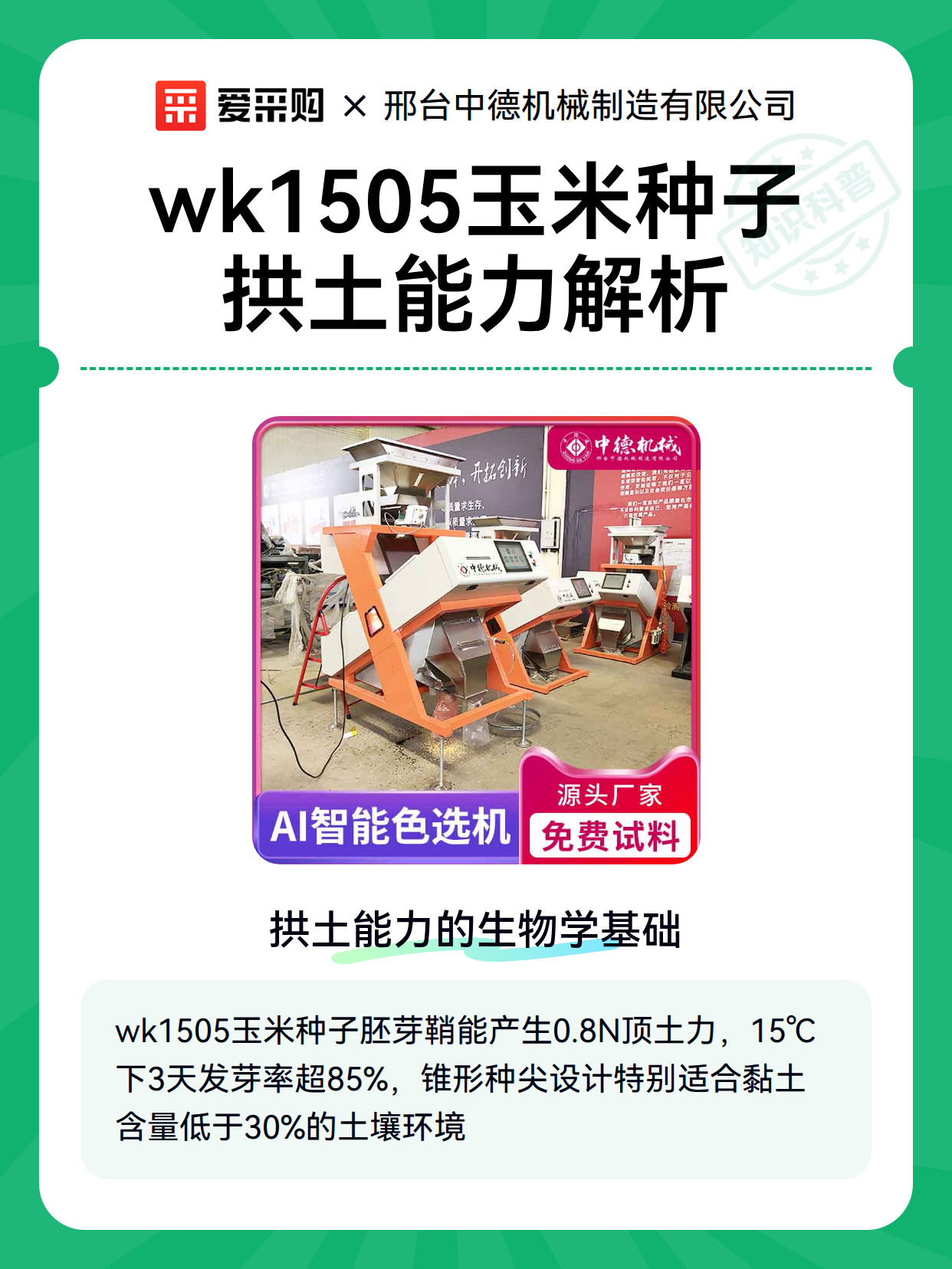 wk1505玉米种子拱土能力解析（图2）