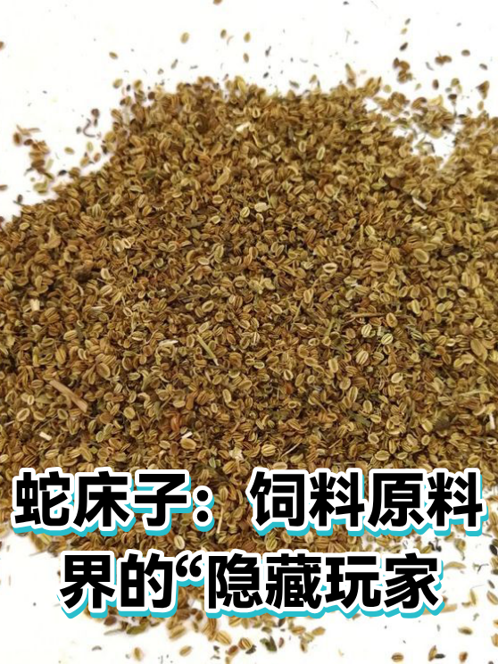 蛇床子：饲料原料界的“隐藏玩家（图1）