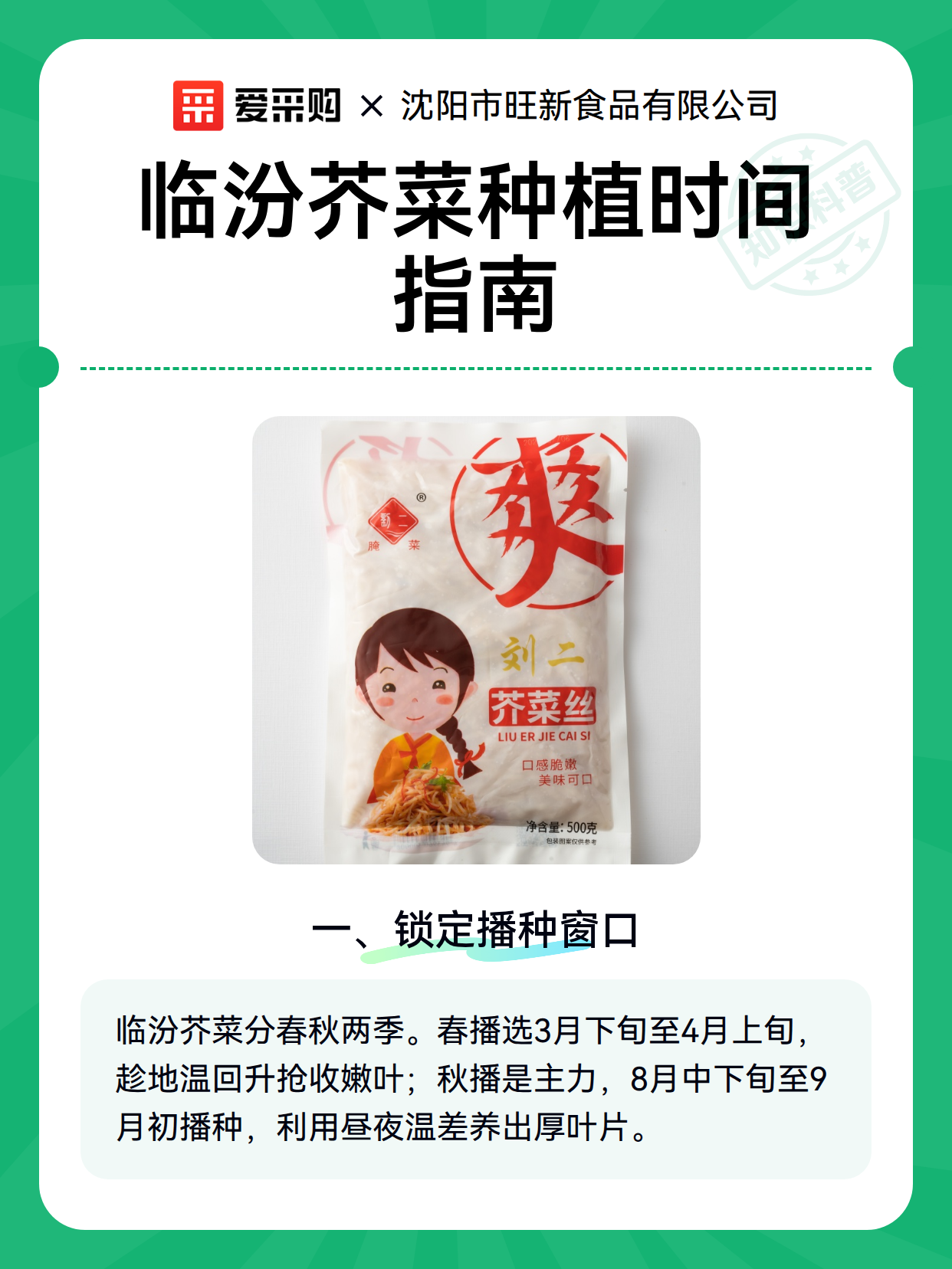 临汾芥菜种植时间指南（图1）