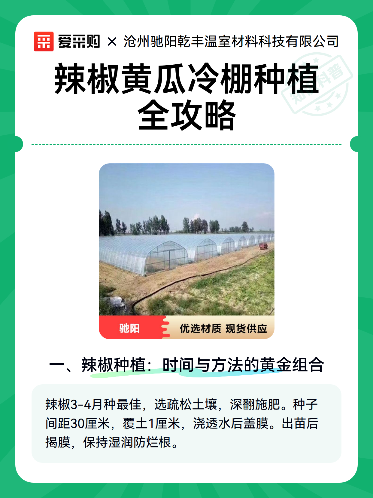 辣椒黄瓜冷棚种植全攻略（图2）