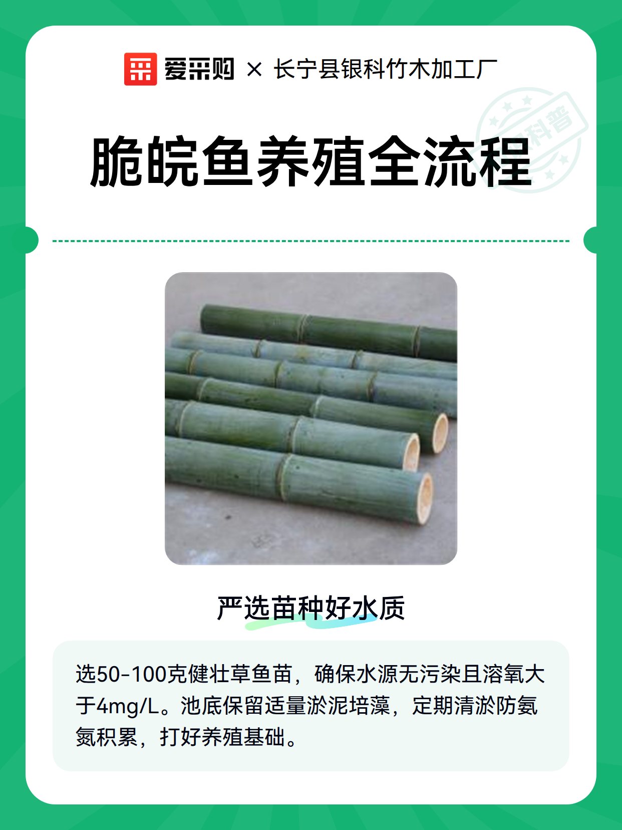 脆皖鱼养殖全流程（图2）
