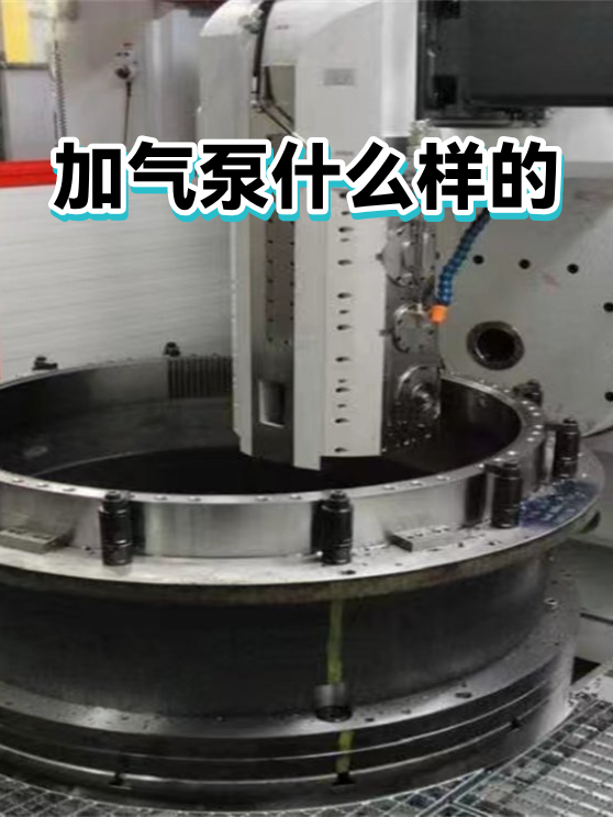 加气泵什么样的（图1）