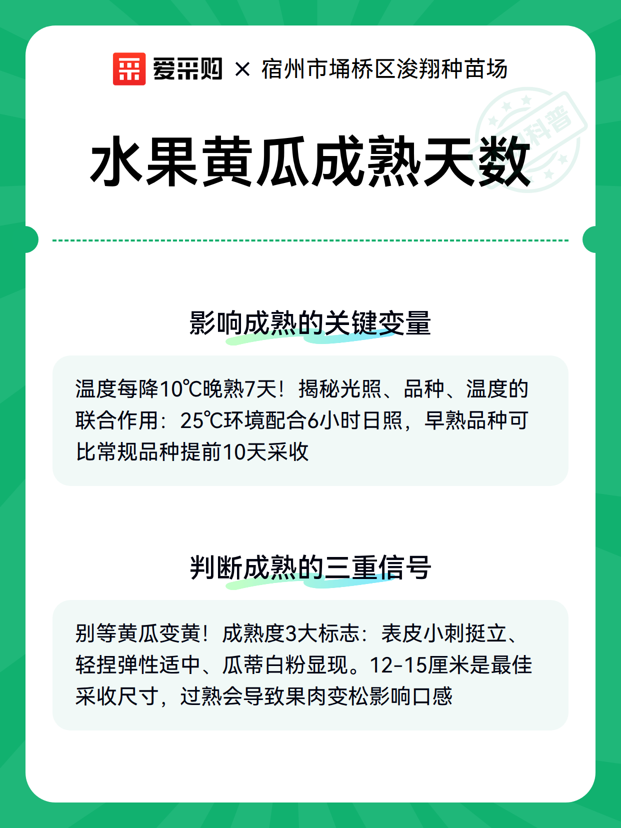 水果黄瓜成熟天数（图3）