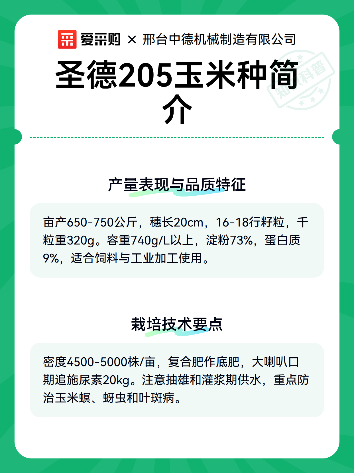圣德205玉米种简介（图3）