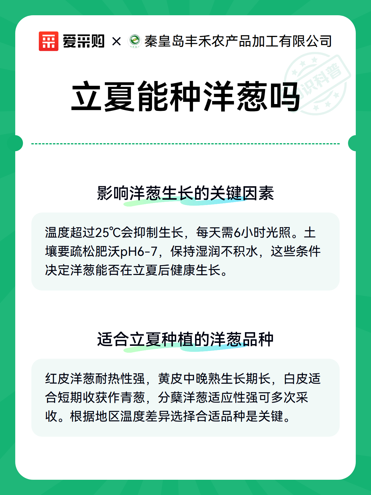 立夏能种洋葱吗（图3）