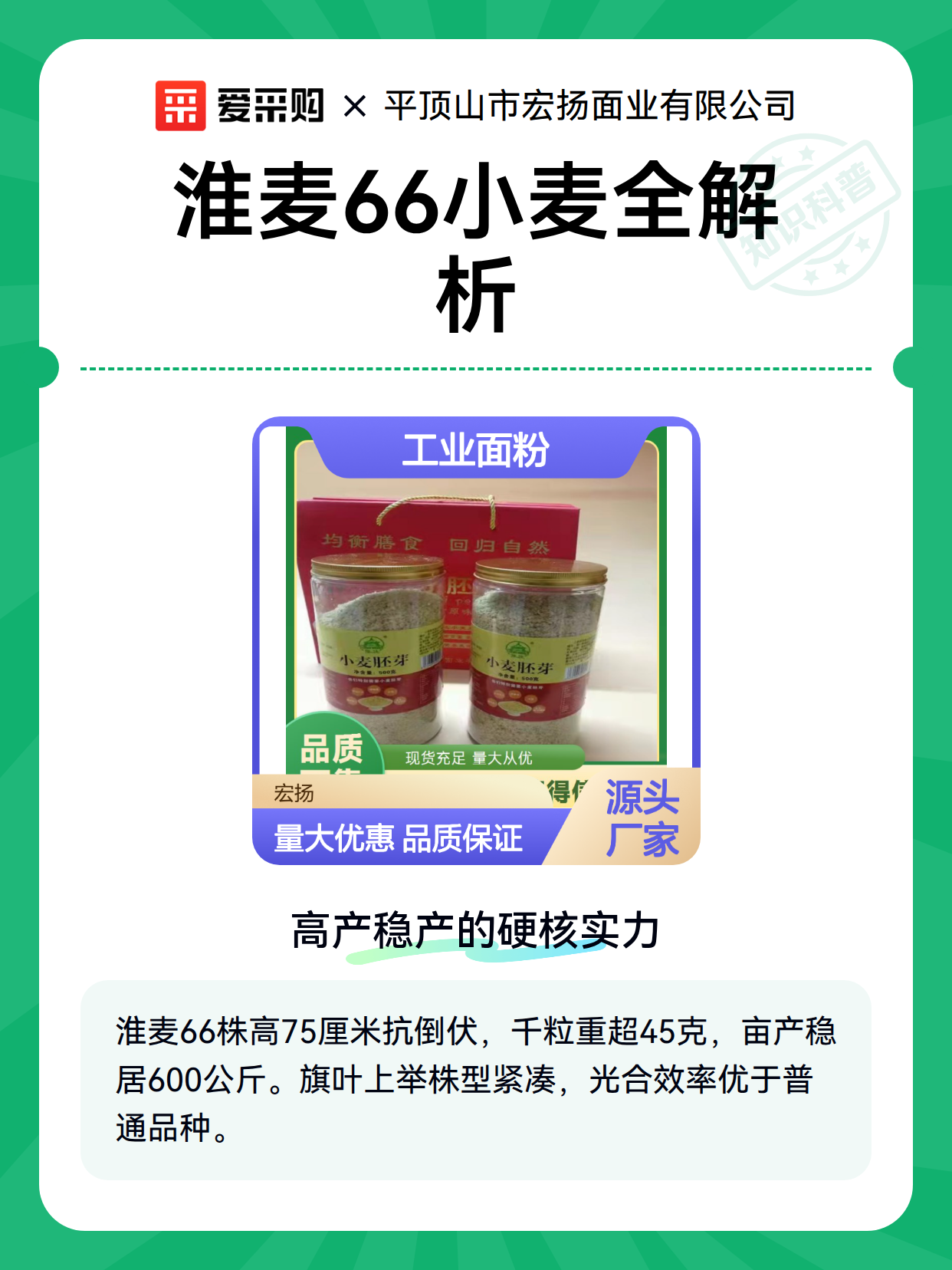 淮麦66小麦全解析（图1）