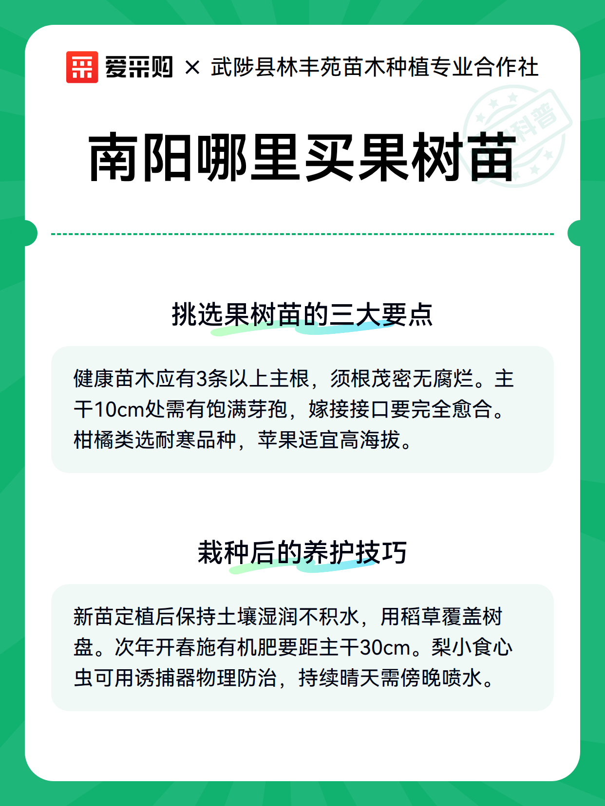 南阳哪里买果树苗（图3）