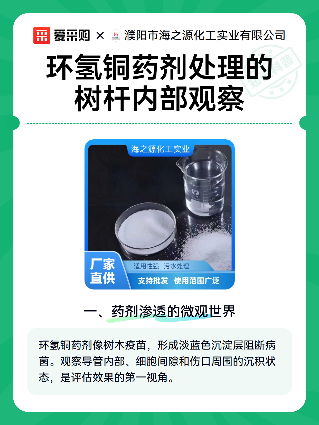 环氢铜药剂处理的树杆内部观察（图2）