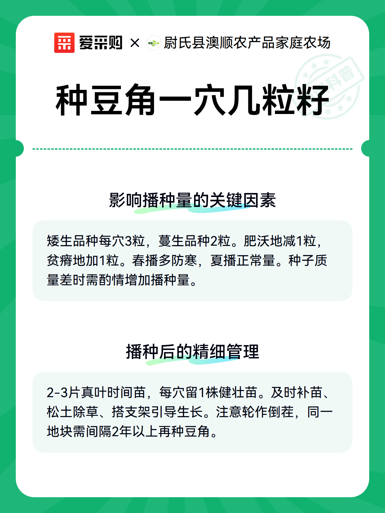 种豆角一穴几粒籽（图3）